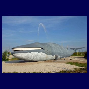 Park Wieloryba w Rewalu