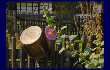 Wielkopolski Park Etnograficzny