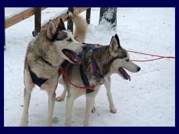 Wioska Świętego Mikołaja