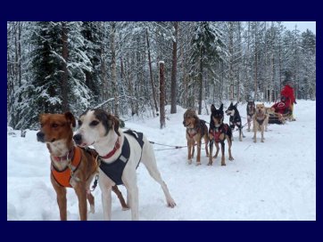 Wioska Świętego Mikołaja